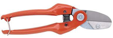 cm.22 CESOIA P138